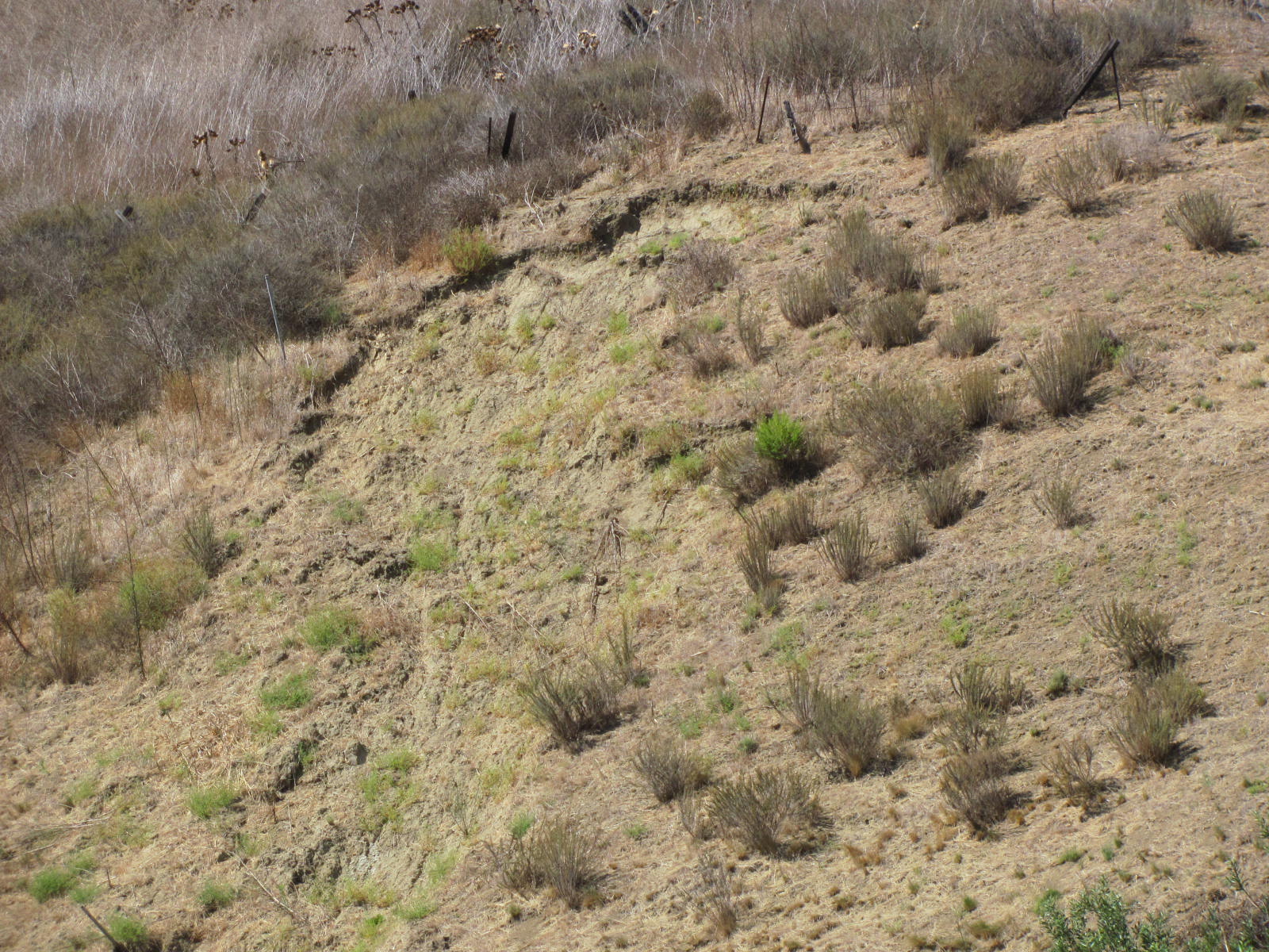 Soil movement from slope creep with cracks