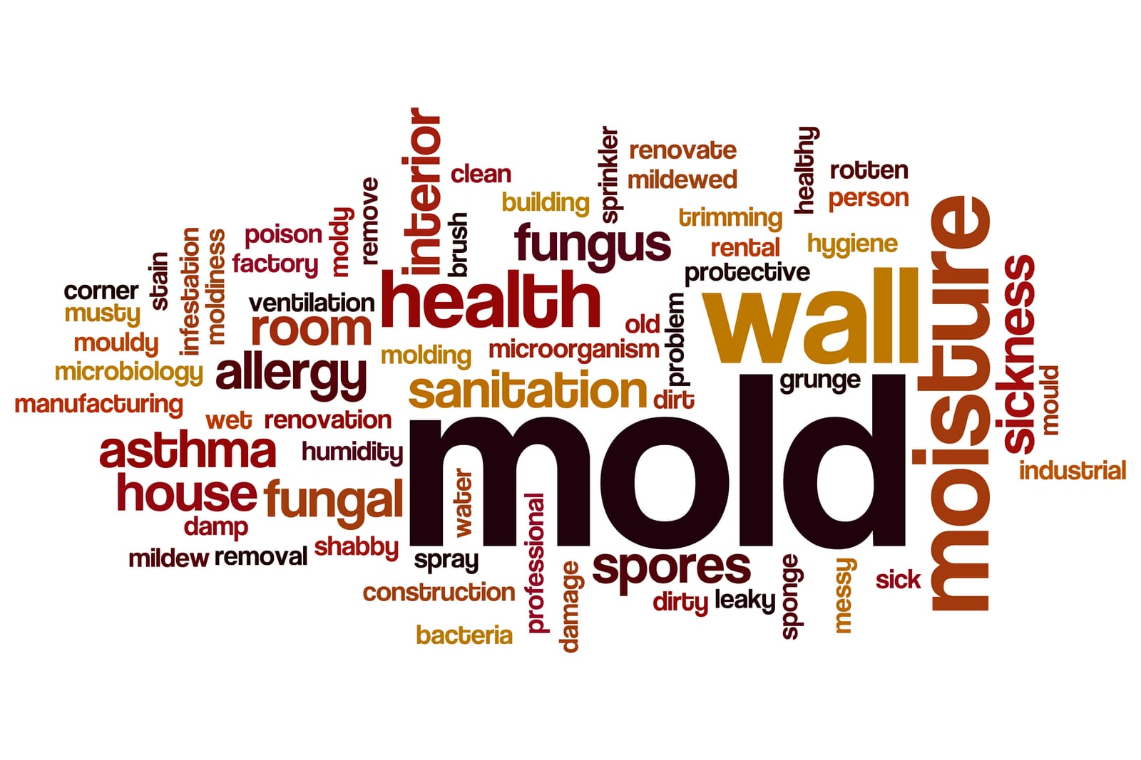 Mold In A Home: Getting Rid Of It, Insurance and Key Facts