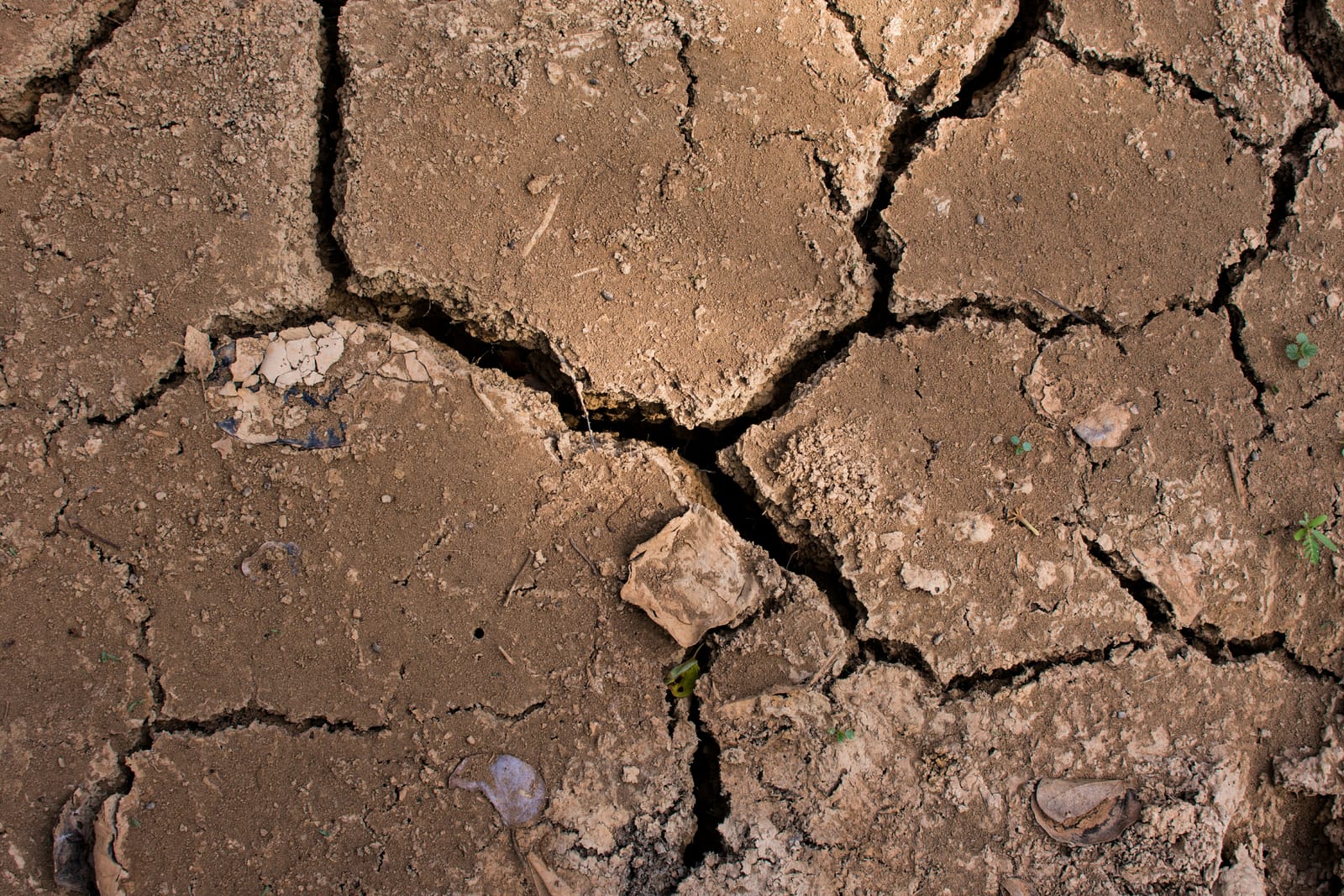 Cracked clay expansive soil