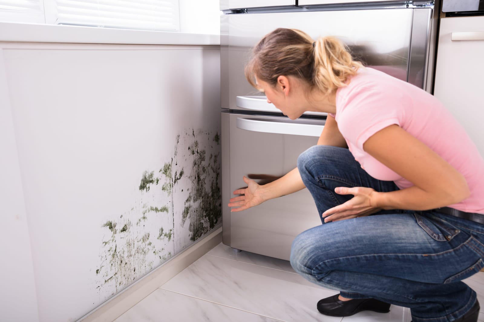 Mold in Hidden Places: A Checklist Of Where To Look In Your Home