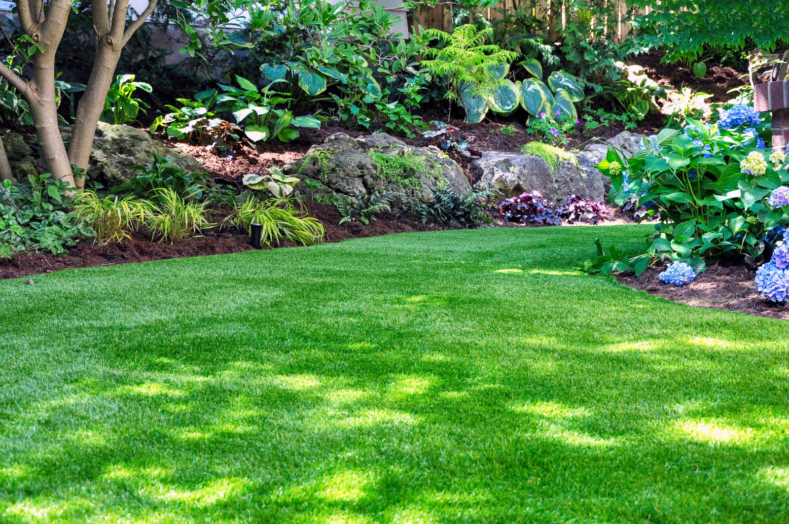 Fake Grass Backyard Ideas