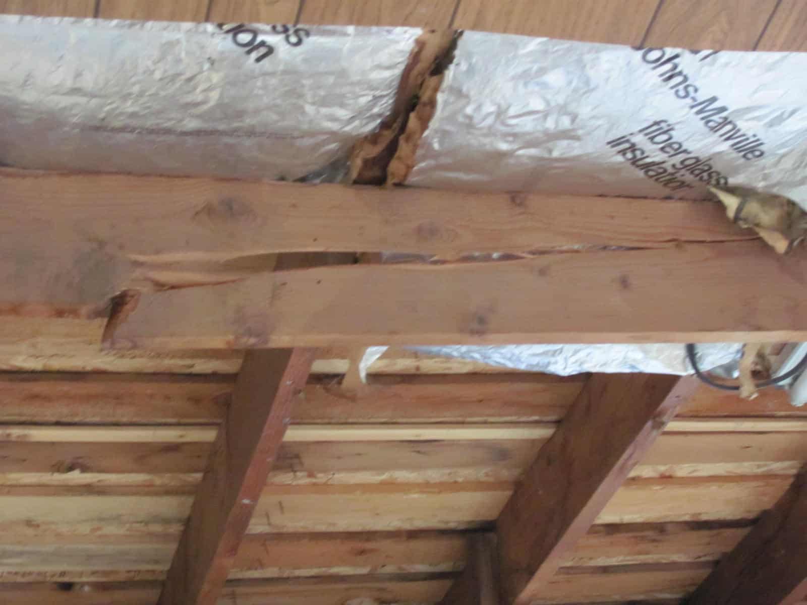 Sagging Roof - Is It Damaged Rafters or Trusses, Too Much Weight, or Design?