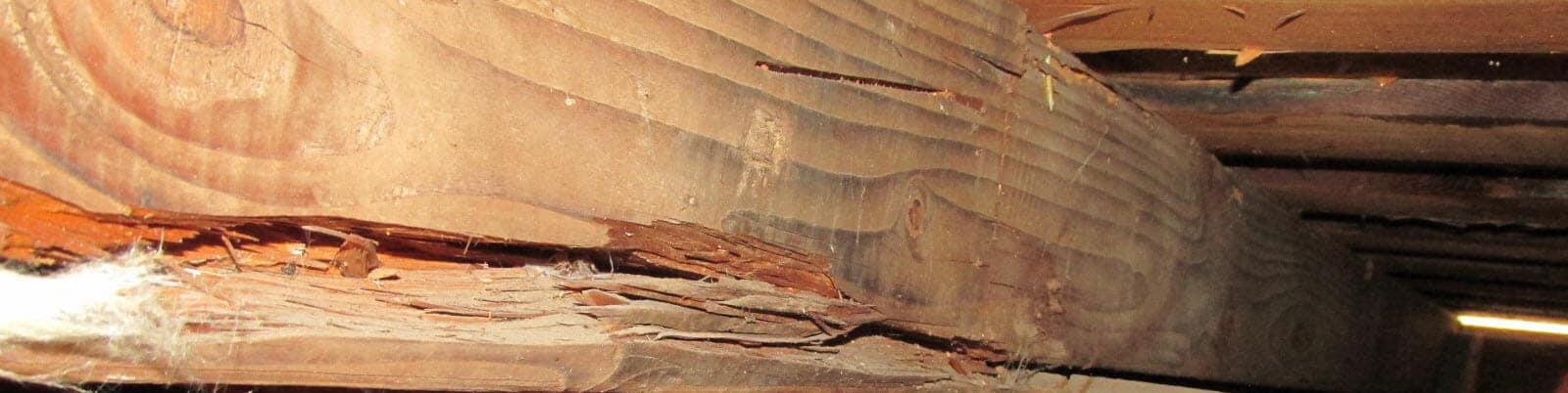 Cracked or damaged wood framing member