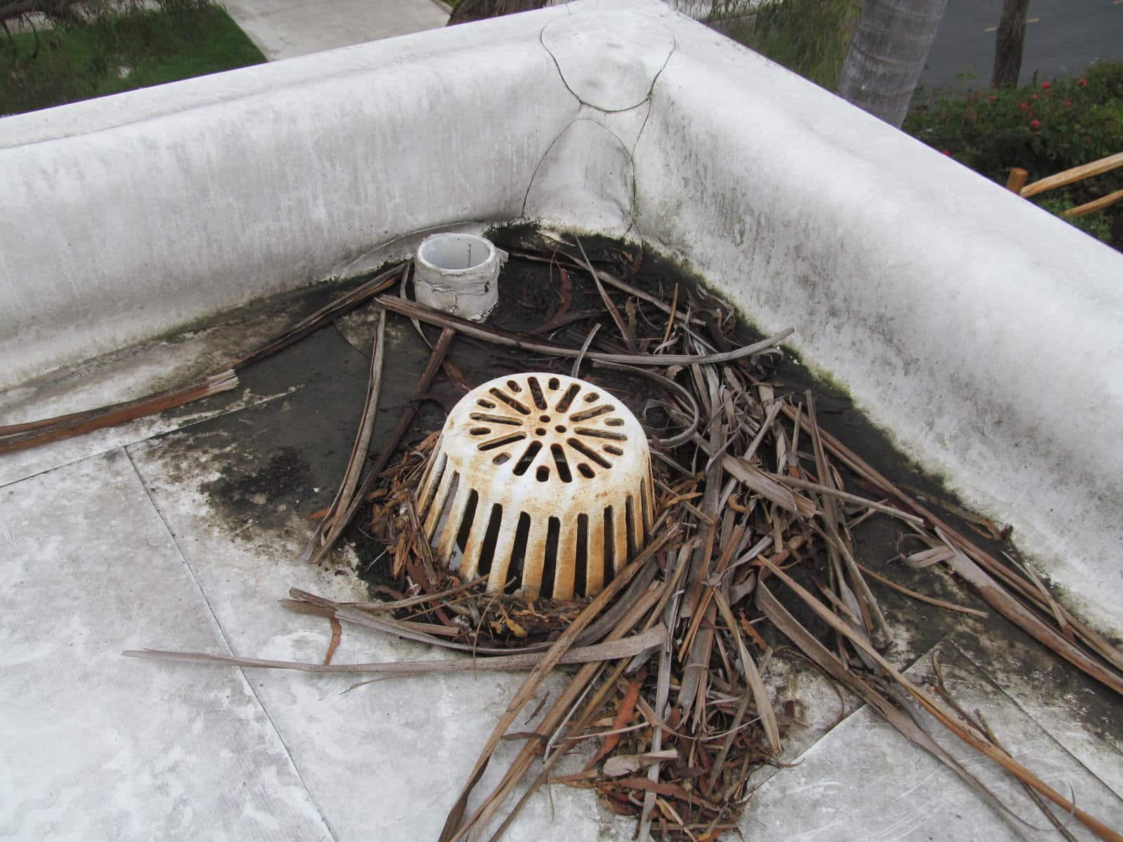 Clogged Drains and Debris Build-up on Flat Roofs