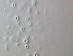 Fisheyes: A Painting Defect On Metal Doors and Hardware