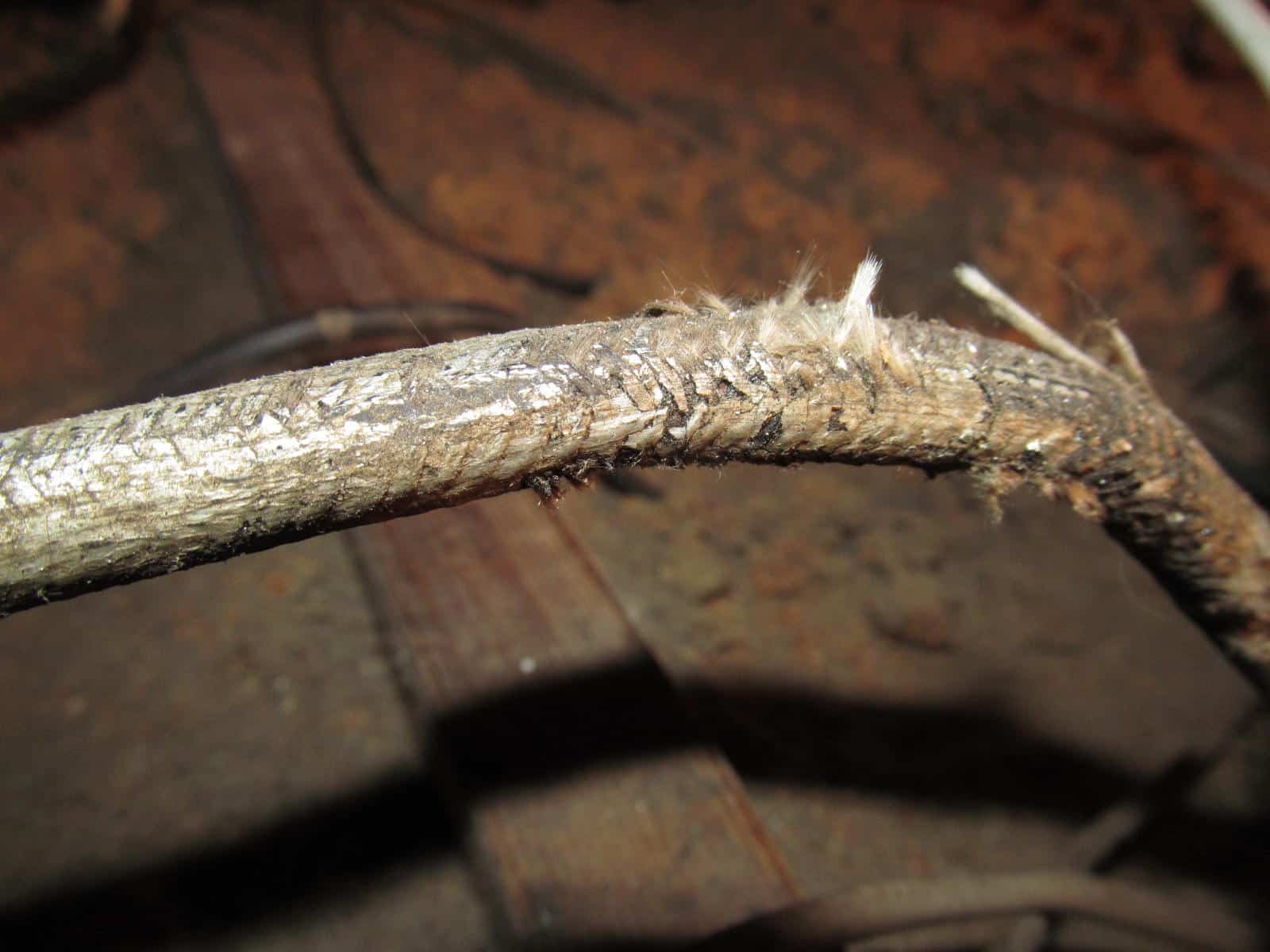Insulation Frayed or Damaged on Electrical Wiring