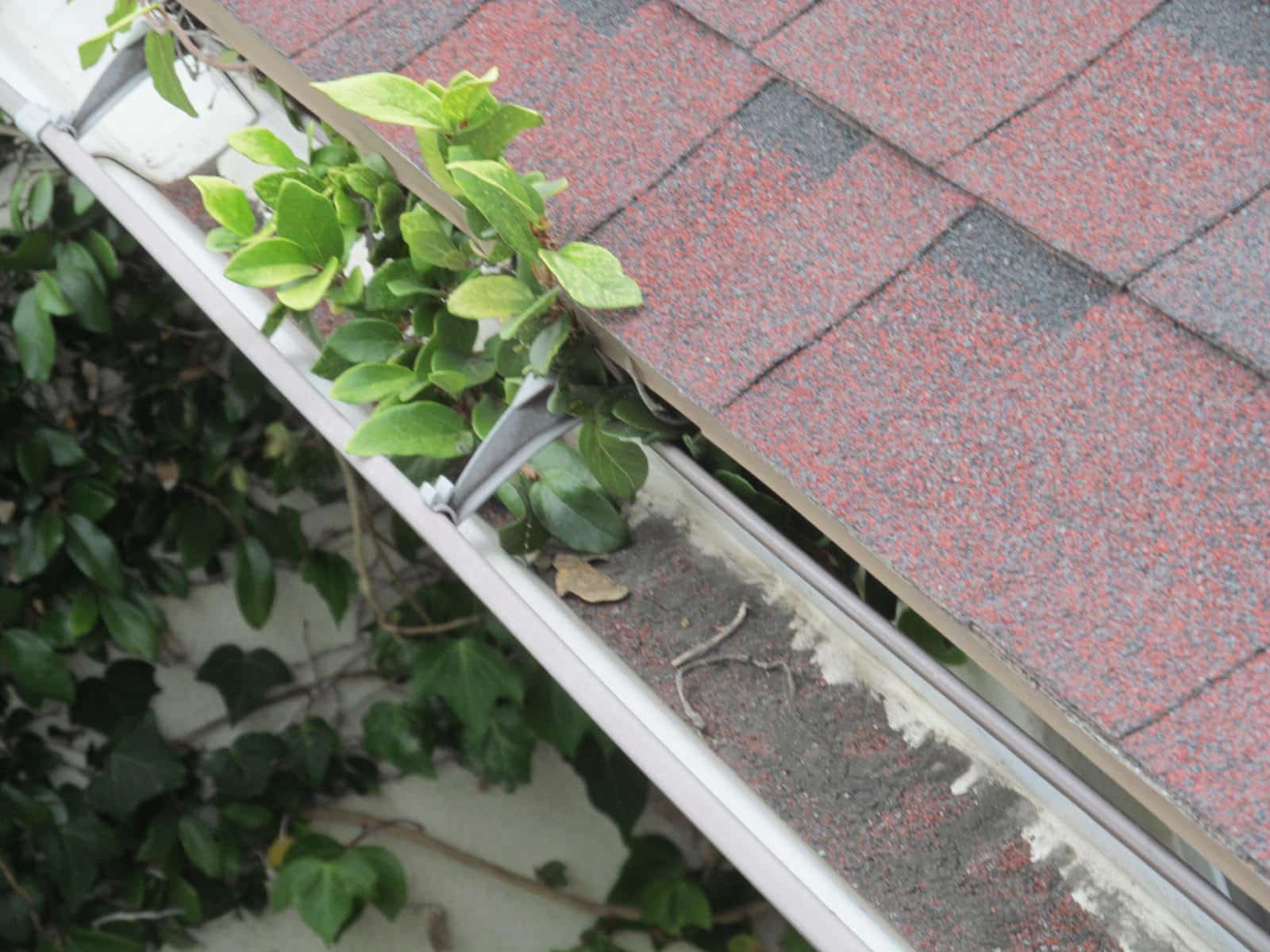Clogged Gutters: Clean And Check For Siding Damage