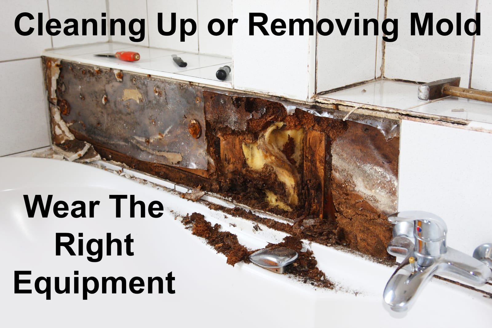 What To Wear When Removing Mold In Your Home
