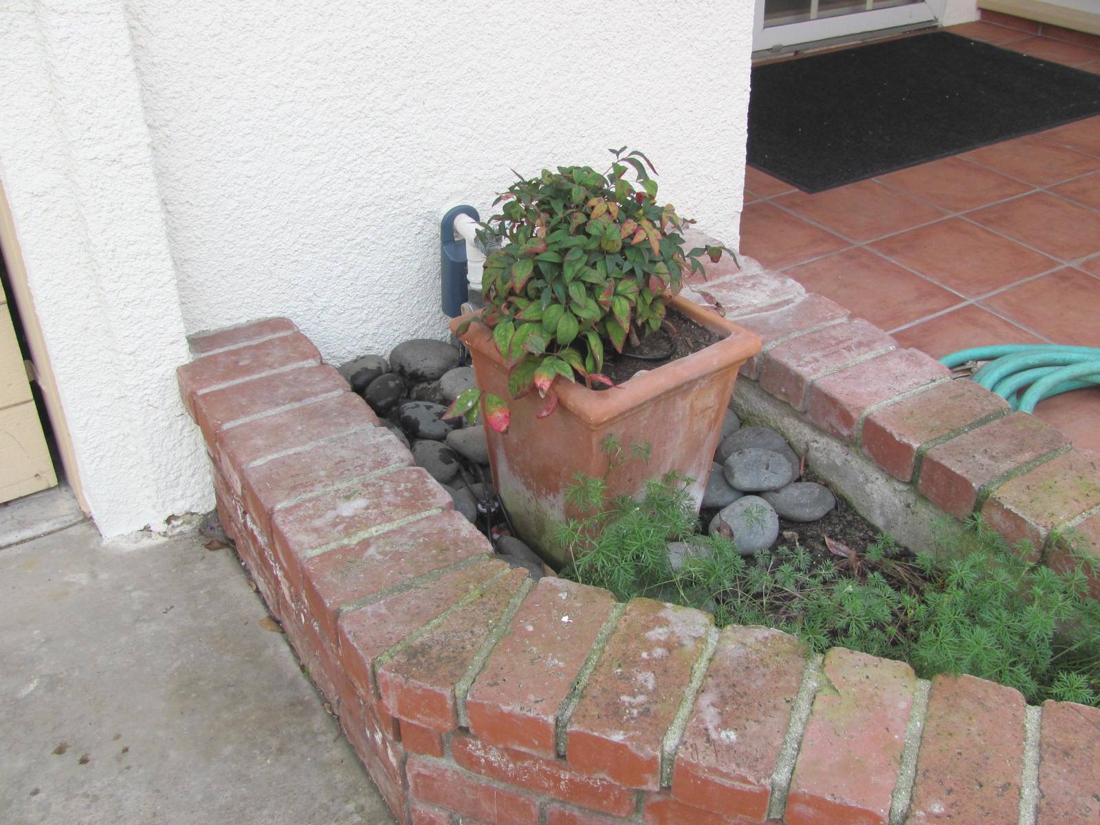 Planters Against A Home Can Cause Damage And Mold