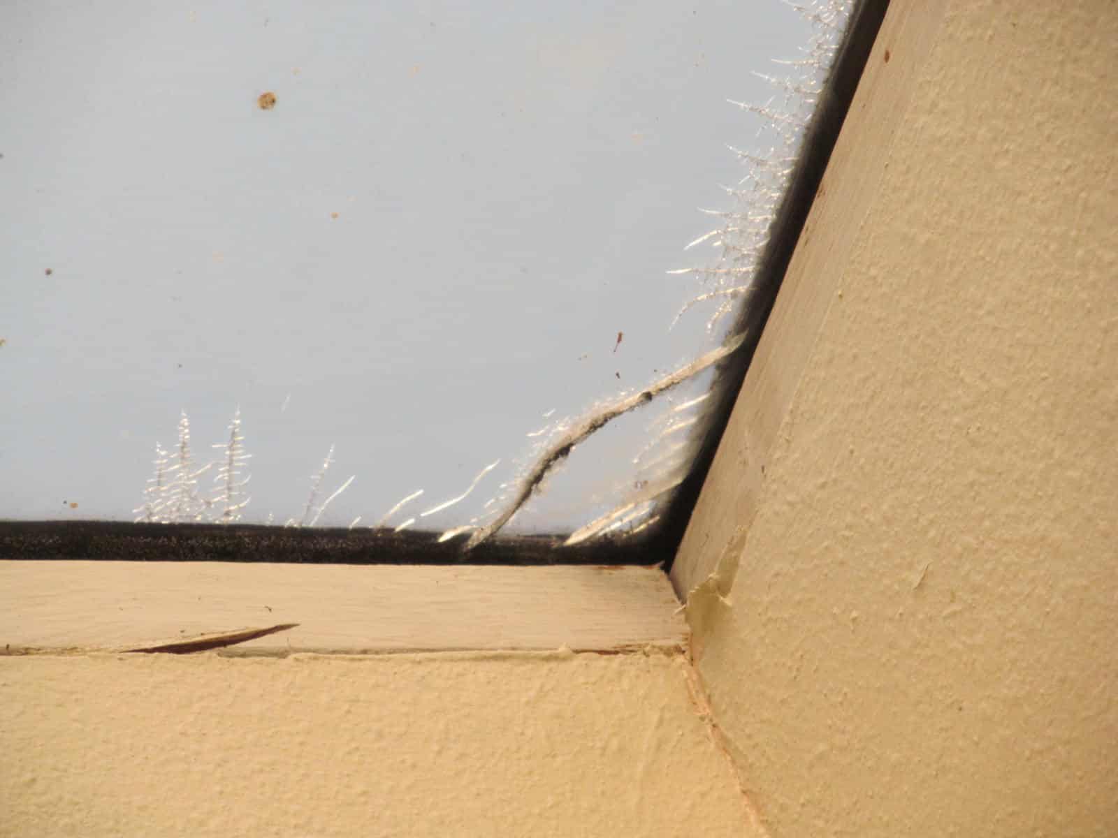 Cracked Or Damaged Skylight