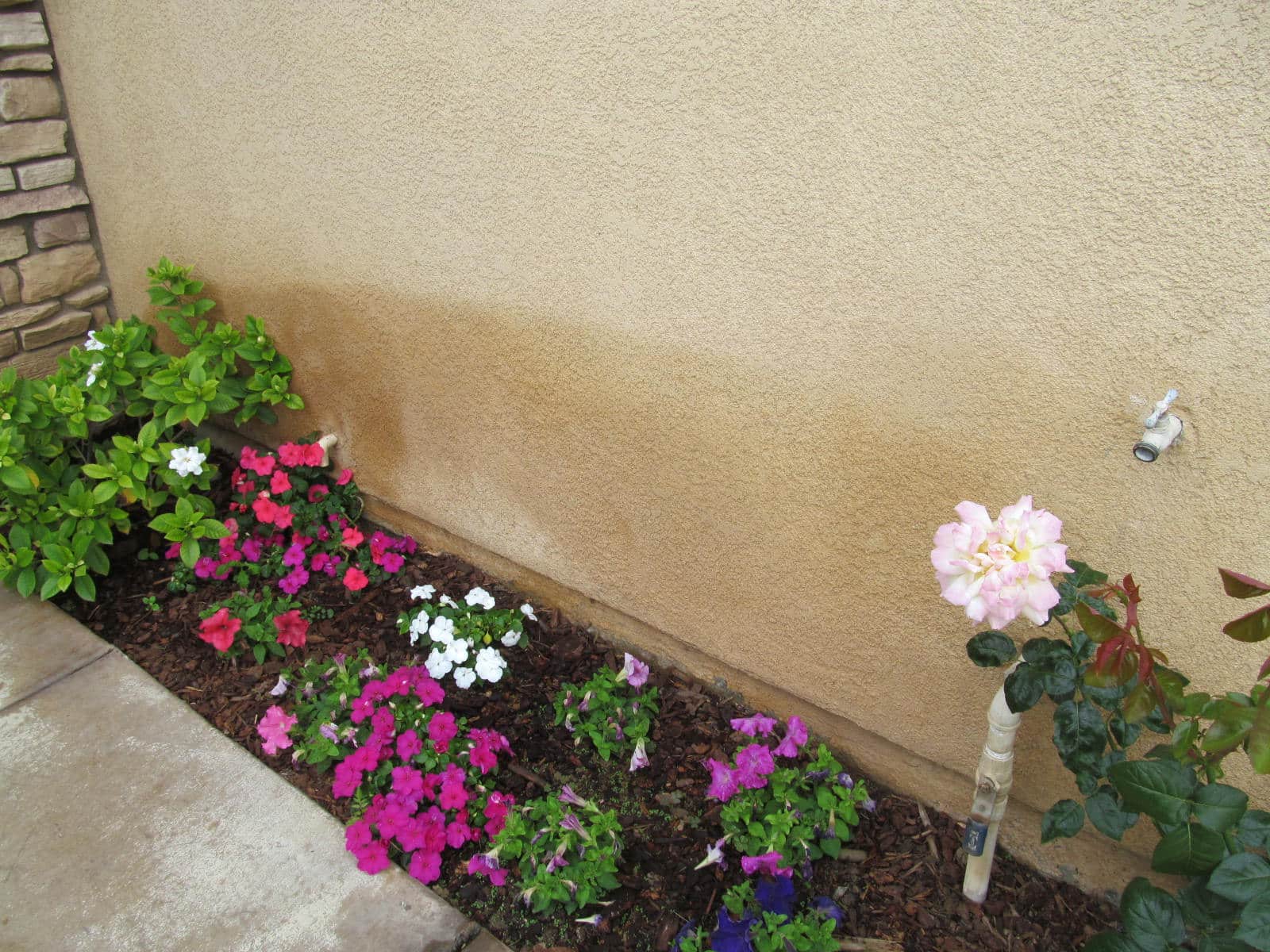 Sprinklers Hitting The Home: Correct And Check For Stains On The Interior Wall