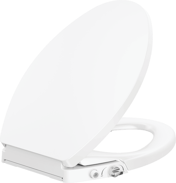 Delta Bidet rear view