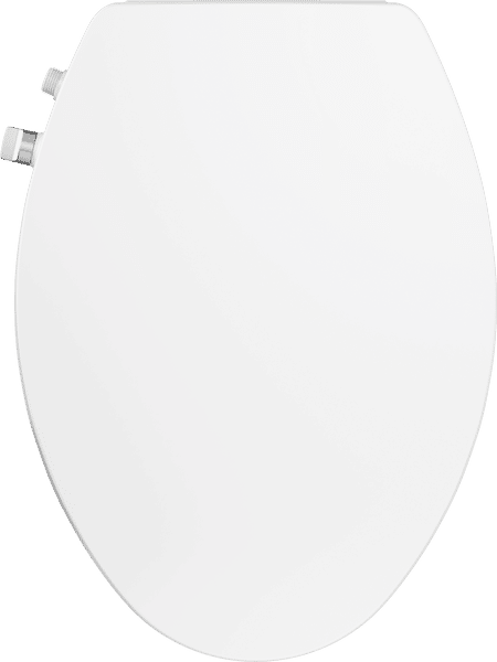 Delta bidet top view