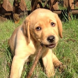 Can an Open House Cost $56,628?